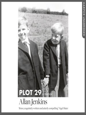cover image of Plot 29